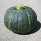 Organic Squash, Winter Kabocha (1/4 lb) - Grow Organic Organic Squash, Winter Kabocha (1/4 lb) Vegetable Seeds