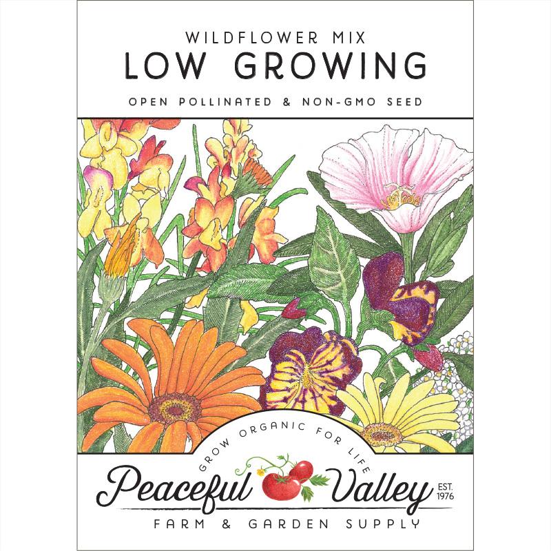 Low Growing Wildflower Mix (pack) - Grow Organic Low Growing Wildflower Mix (pack) Flower Seeds