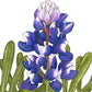 Lupine, Arroyo Blue - Grow Organic Lupine, Arroyo Blue (lb) Flower Seeds