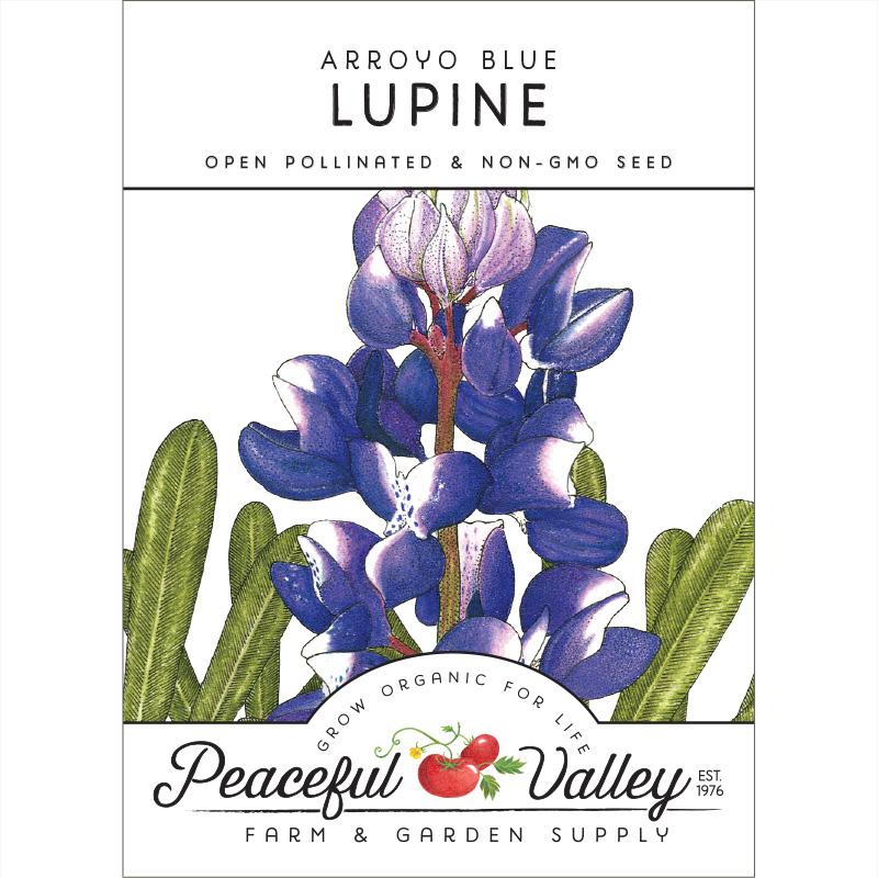 Lupine, Arroyo Blue (pack) - Grow Organic Lupine, Arroyo Blue (pack) Flower Seeds
