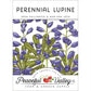Lupine, Perennial (pack) - Grow Organic Lupine, Perennial (pack) Flower Seeds