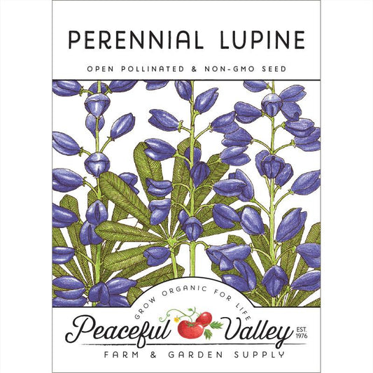 Lupine, Perennial (pack) - Grow Organic Lupine, Perennial (pack) Flower Seeds