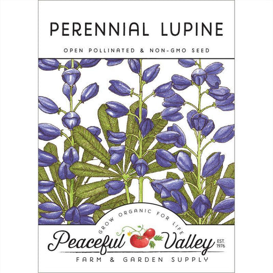 Lupine, Perennial (pack) - Grow Organic Lupine, Perennial (pack) Flower Seeds