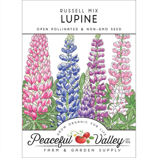 Lupine, Russell (pack) - Grow Organic Lupine, Russell (pack) Flower Seeds