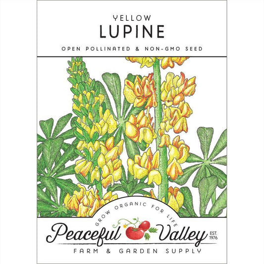 Lupine, Yellow (pack) - Grow Organic Lupine, Yellow (pack) Flower Seeds