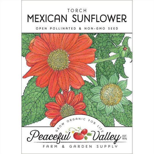 Mexican Sunflower (pack) - Grow Organic Mexican Sunflower (pack) Flower Seeds