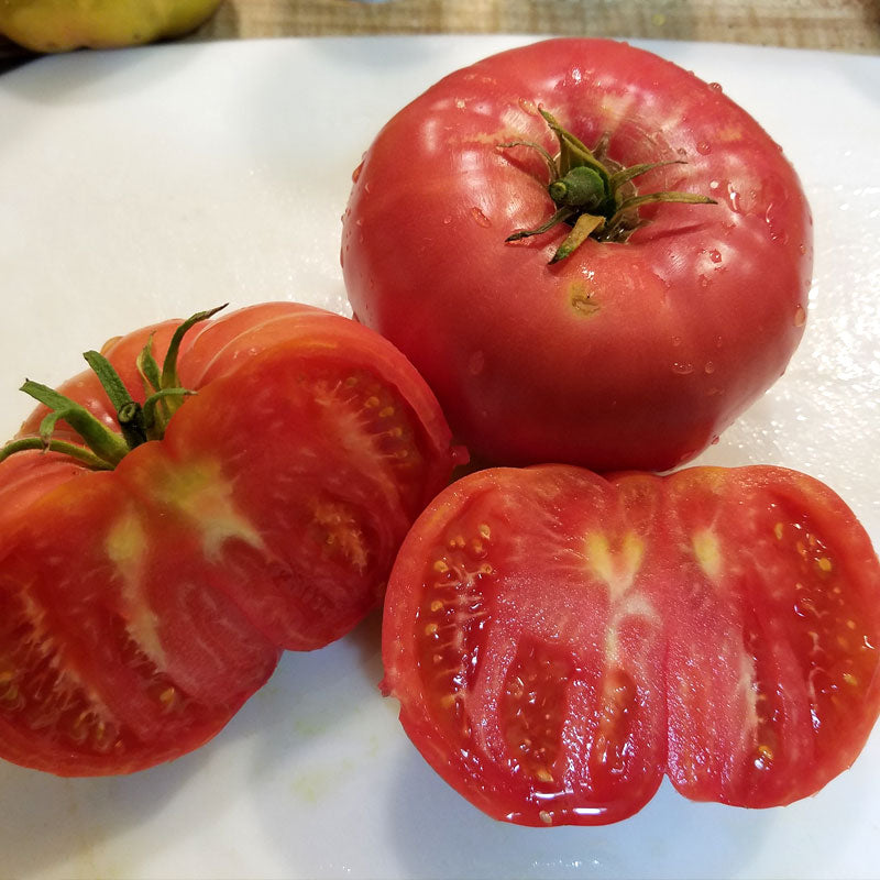 Mortgage Lifter Tomato Seeds (Organic) - Grow Organic Mortgage Lifter Tomato Seeds (Organic) Vegetable Seeds