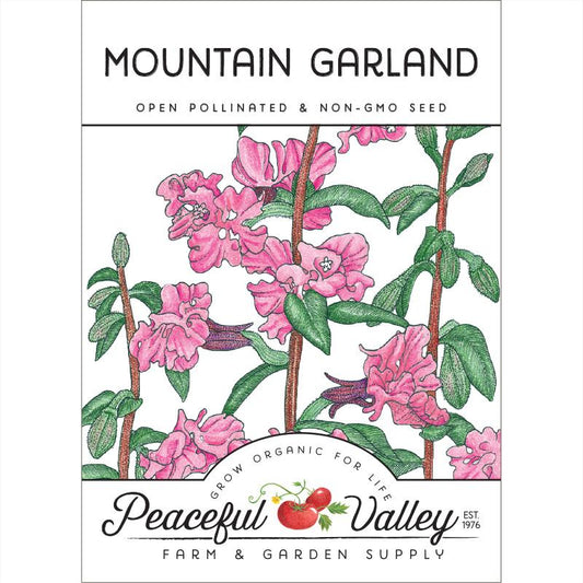 Mountain Garland (pack) - Grow Organic Mountain Garland (pack) Flower Seeds