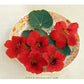 Renee's Garden Nasturtium Antique Empress Of India Heirloom Renee's Garden Nasturtium Antique Empress Of India (Heirloom) Flower Seed & Bulbs