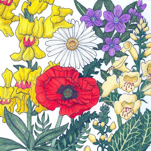 american seed shade mix wildflower blend North American Shade Wildflower Mix (1/4 lb)