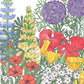 Northwest Wildflower Mix (1/4 lb) - Grow Organic Northwest Wildflower Mix (1/4 lb) Flower Seeds