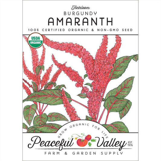 Burgundy Amaranth Seeds (Organic) - Grow Organic Burgundy Amaranth Seeds (Organic) Vegetable Seeds