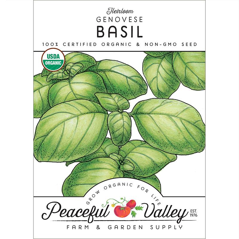 Organic Basil, Genovese (pack) - Grow Organic Organic Basil, Genovese (pack) Herb Seeds