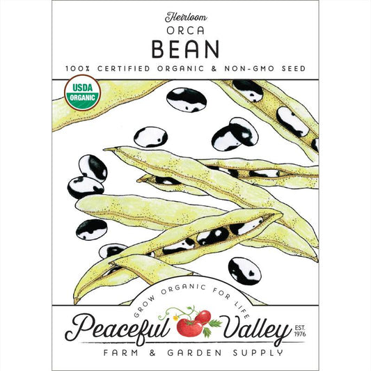 Orca Bush Bean Seeds (Organic) - Grow Organic Orca Bush Bean Seeds (Organic) Vegetable Seeds