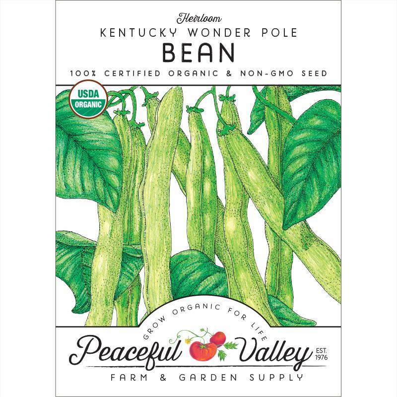 Kentucky Wonder Pole Bean Seeds (Organic) - Grow Organic Kentucky Wonder Pole Bean Seeds (Organic) Vegetable Seeds