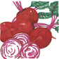 Organic Beet, Chioggia (1/4 lb) - Grow Organic Organic Beet, Chioggia (1/4 lb) Vegetable Seeds