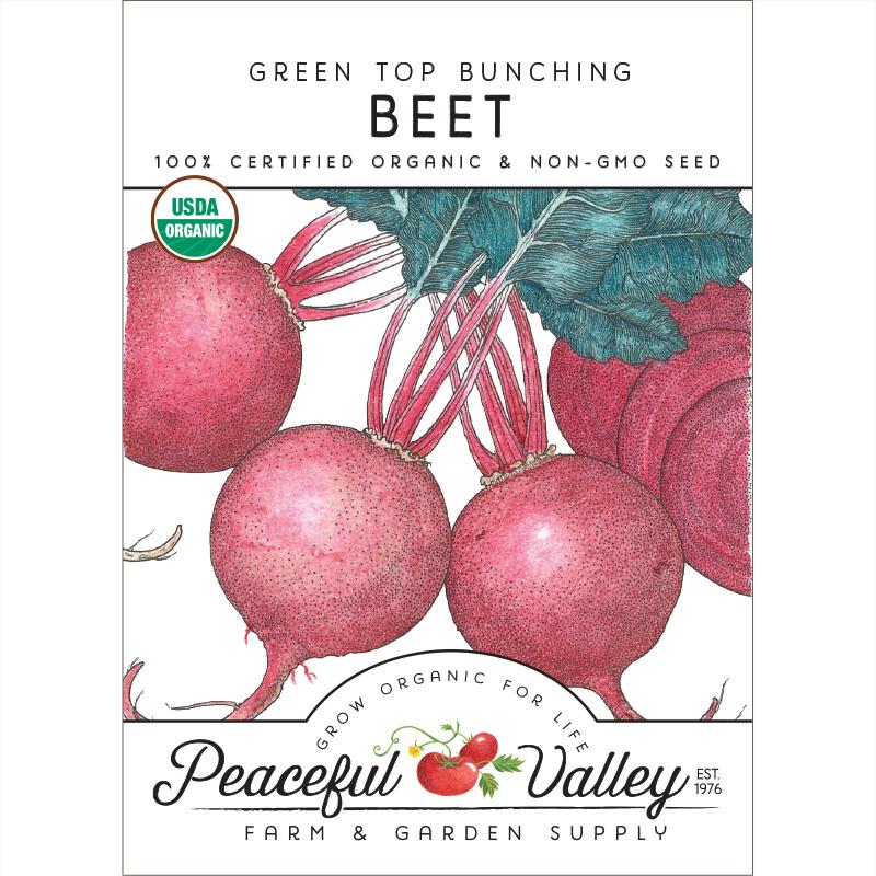 Green Top Bunching Beet Seeds (Organic) - Grow Organic Green Top Bunching Beet Seeds (Organic) Vegetable Seeds