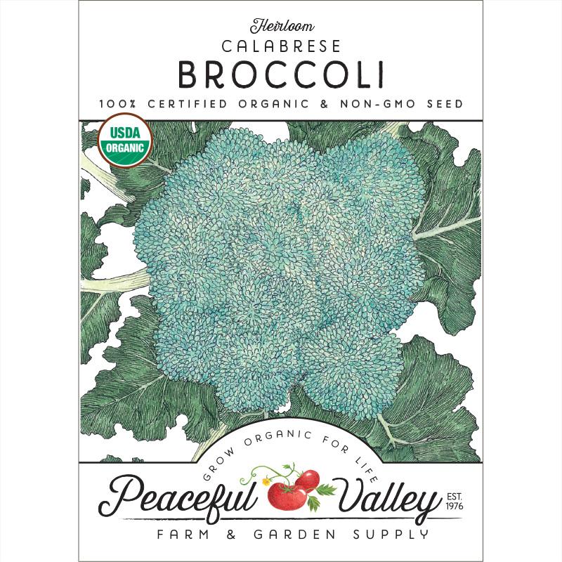 Calabrese Broccoli Seeds (Organic) for Sale - Grow Organic Calabrese Broccoli Seeds (Organic) Vegetable Seeds