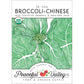 Chinese, Te You Broccoli Seeds (Organic) - Grow Organic Chinese, Te You Broccoli Seeds (Organic) Vegetable Seeds
