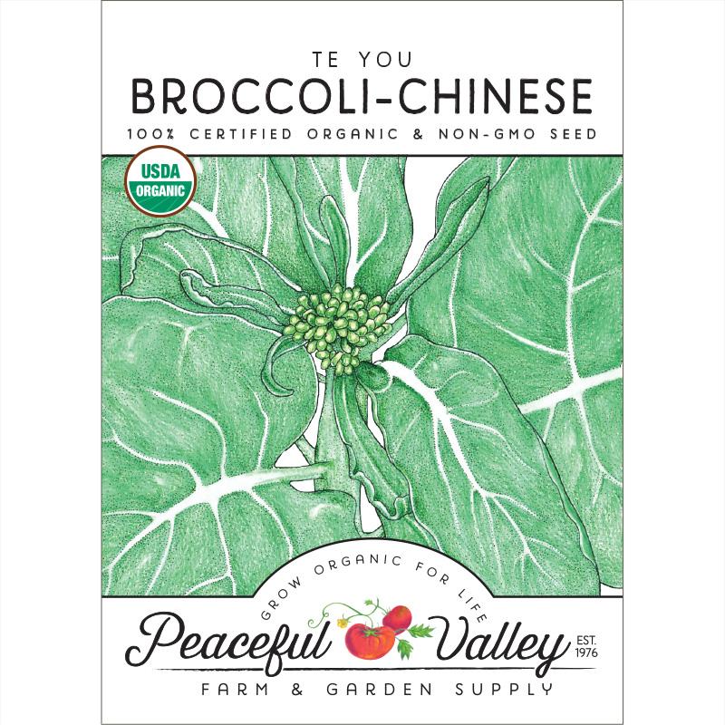 Chinese, Te You Broccoli Seeds (Organic) - Grow Organic Chinese, Te You Broccoli Seeds (Organic) Vegetable Seeds
