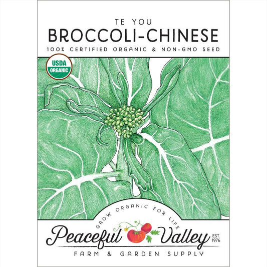 Chinese, Te You Broccoli Seeds (Organic) - Grow Organic Chinese, Te You Broccoli Seeds (Organic) Vegetable Seeds