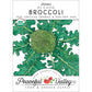 Di Cicco Broccoli Seeds (Organic) - Grow Organic Di Cicco Broccoli Seeds (Organic) Vegetable Seeds