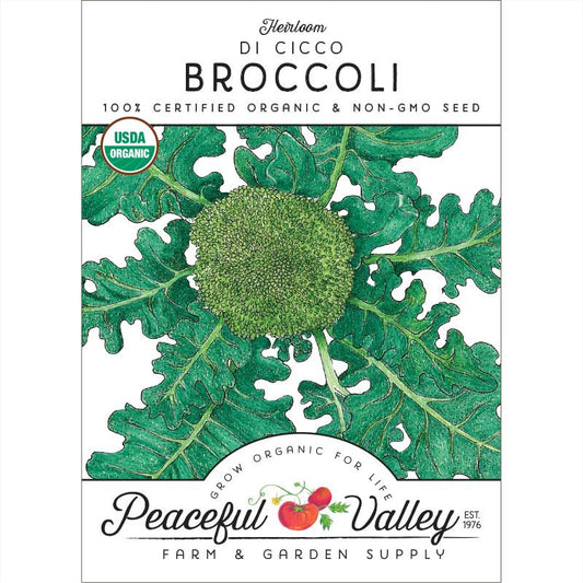 Di Cicco Broccoli Seeds (Organic) - Grow Organic Di Cicco Broccoli Seeds (Organic) Vegetable Seeds