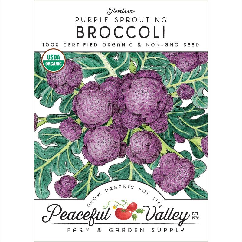 Purple Sprouting Broccoli Seeds (Organic) – Grow Organic Purple Sprouting Broccoli Seeds (Organic) Vegetable Seeds
