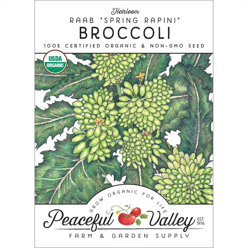 Rapini Broccoli Seeds (Organic) - Grow Organic Rapini Broccoli Seeds (Organic) Vegetable Seeds