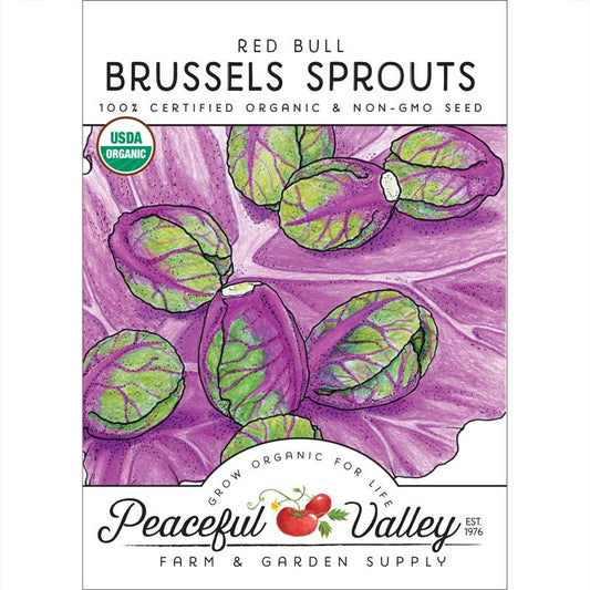 Red Bull Brussels Sprouts Seeds (Organic) - Grow Organic Red Bull Brussels Sprouts Seeds (Organic) Vegetable Seeds