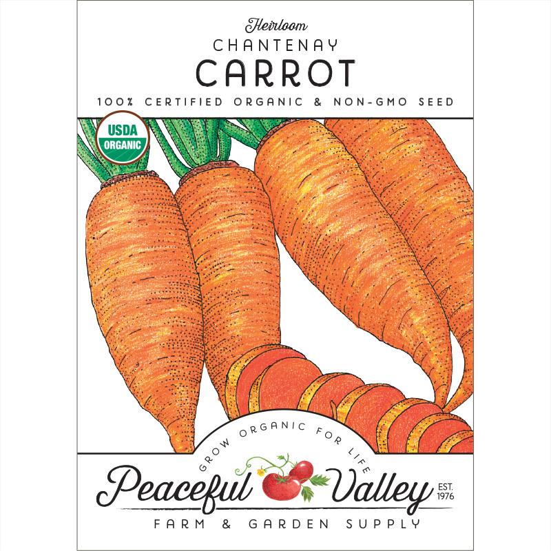 Chantenay Carrot Seeds (Organic) - Grow Organic Chantenay Carrot Seeds (Organic) Vegetable Seeds