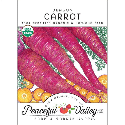 Dragon Carrot Seeds (Organic) - Grow Organic Dragon Carrot Seeds (Organic) Vegetable Seeds