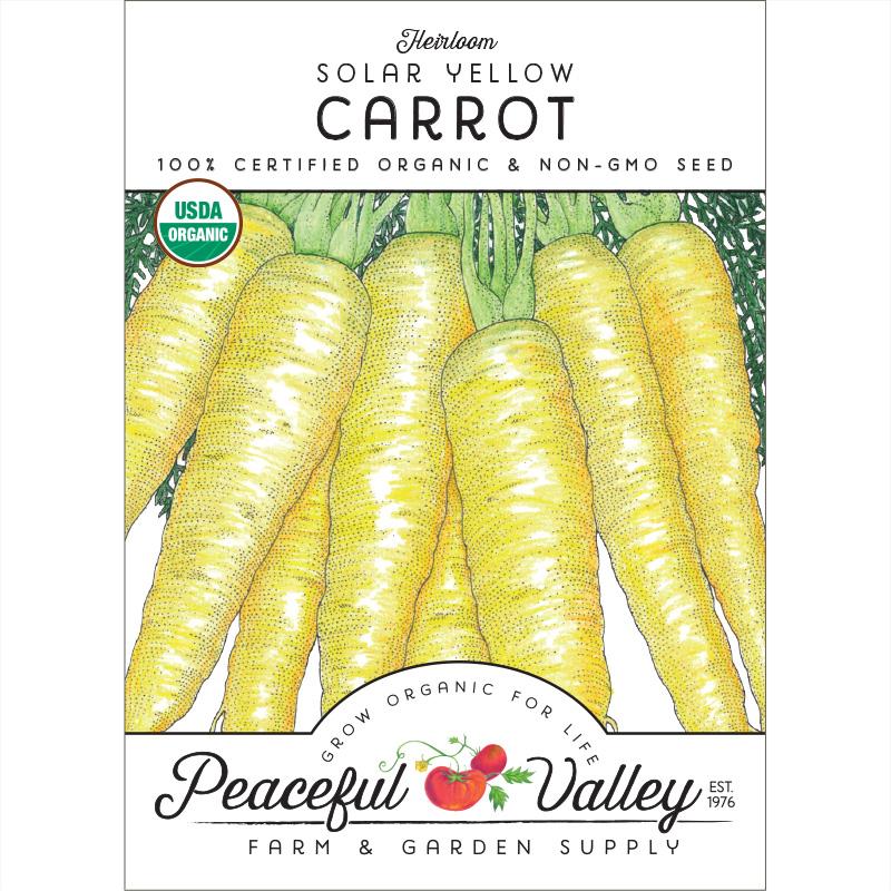 Solar Yellow Carrot Seeds (Organic) - Grow Organic Solar Yellow Carrot Seeds (Organic) Vegetable Seeds