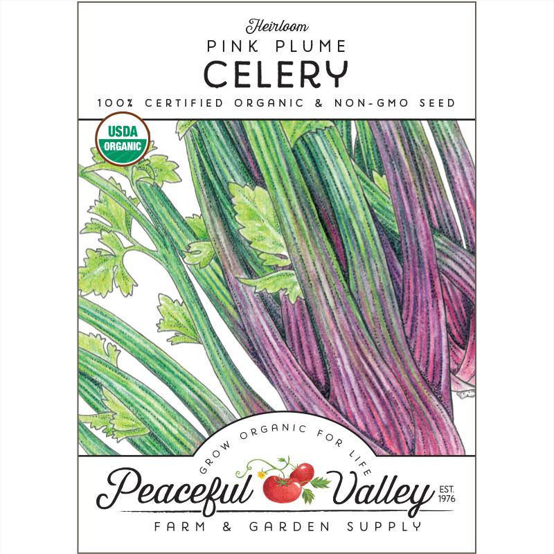 Organic Pink Plume Celery from $3.99 - Grow Organic Pink Plume Celery Seeds (Organic) Vegetable Seeds