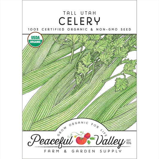 Tall Utah Celery Seeds (Organic) - Grow Organic Tall Utah Celery Seeds (Organic) Vegetable Seeds