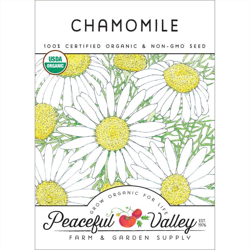 Organic Chamomile - Grow Organic Organic Chamomile Herb Seeds