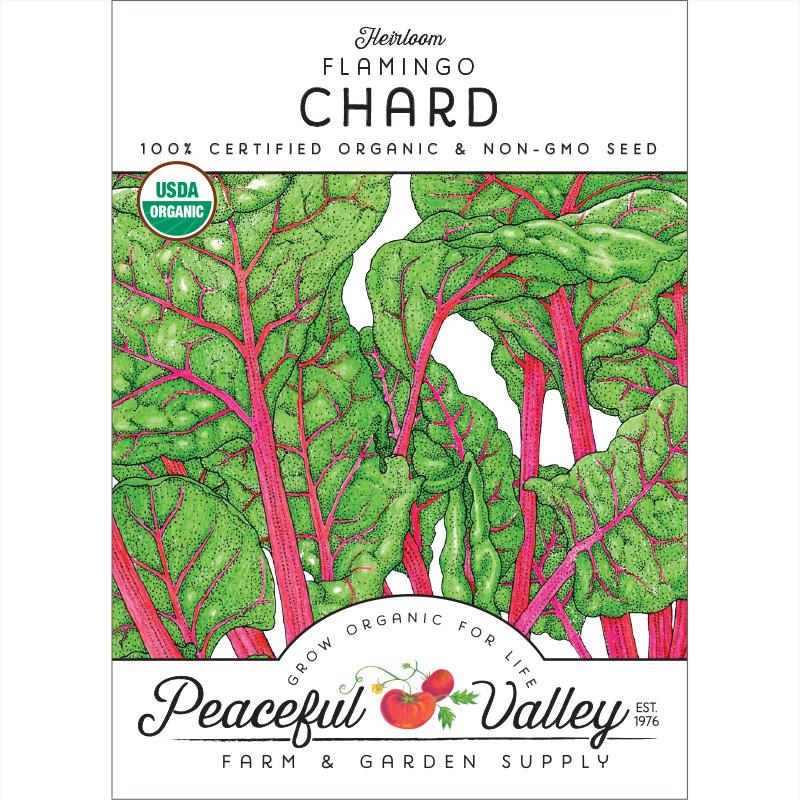 Flamingo Pink Chard Seeds (Organic) - Grow Organic Flamingo Pink Chard Seeds (Organic) Vegetable Seeds