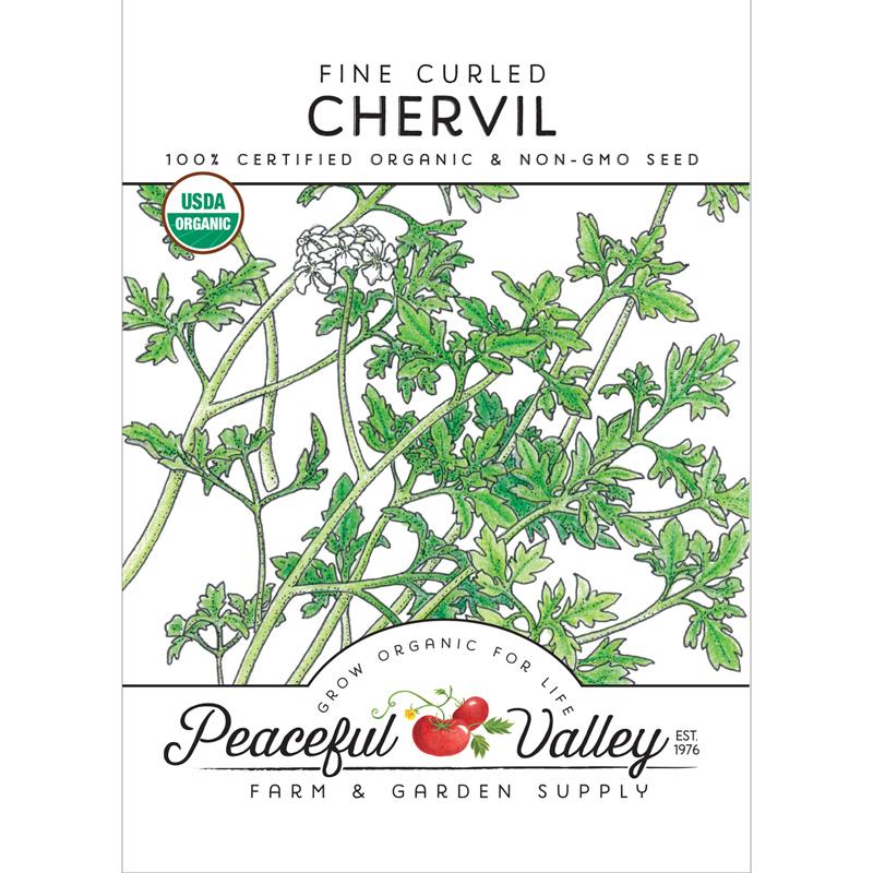 Organic Chervil, Fine Curled - Grow Organic Organic Chervil, Fine Curled Herb Seeds