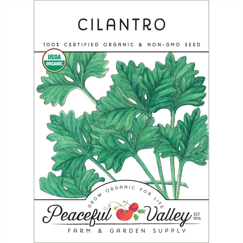 Organic Cilantro - Grow Organic Organic Cilantro Herb Seeds