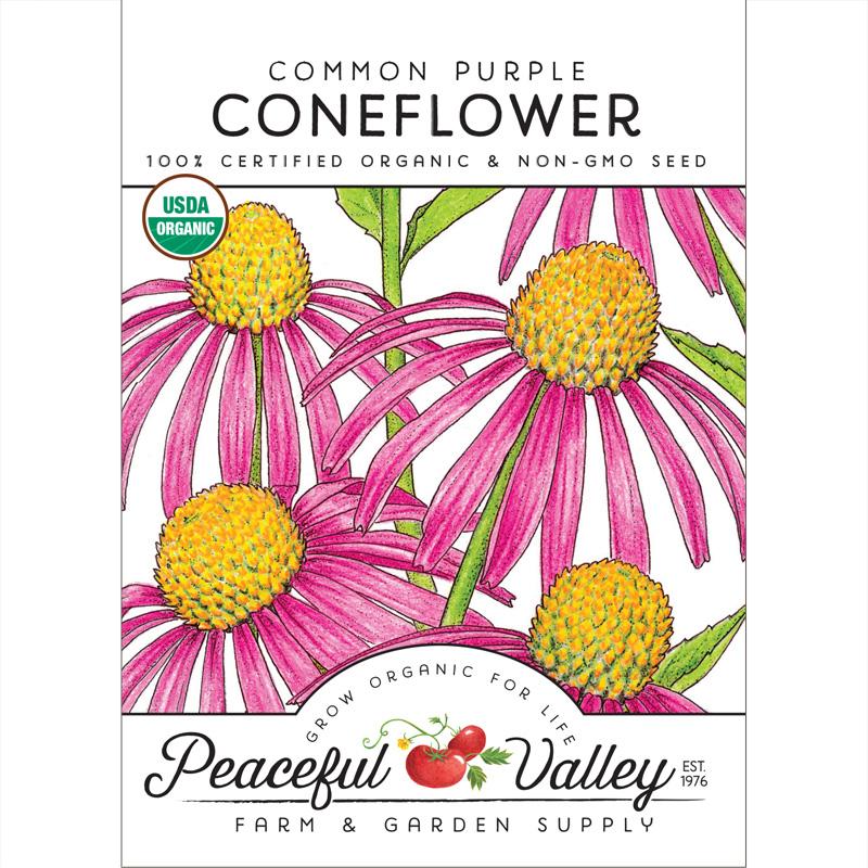 Organic Coneflower, Common Purple - Grow Organic Organic Coneflower, Common Purple Flower Seed & Bulbs