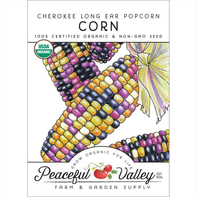 Cherokee Long Ear Popcorn Corn Seeds (Organic) Cherokee Long Ear Popcorn Corn Seeds (Organic) Vegetable Seeds