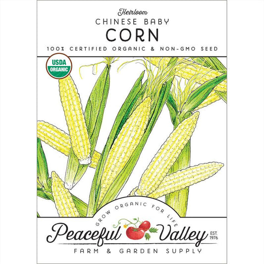 Chinese Baby Corn Seeds (Organic) - Grow Organic Chinese Baby Corn Seeds (Organic) Vegetable Seeds