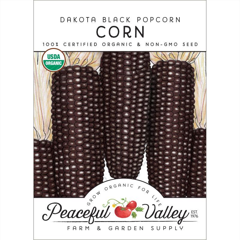 Dakota Black Popcorn Corn Seeds (Organic) - Grow Organic Dakota Black Popcorn Corn Seeds (Organic) Vegetable Seeds