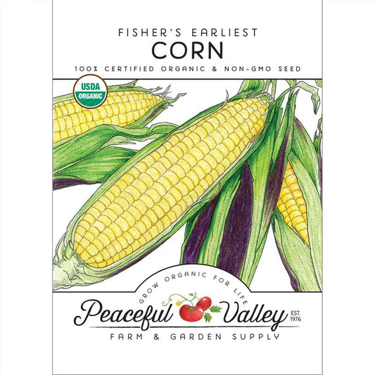  Fisher's Earliest Corn Seeds (Organic) Vegetable Seeds