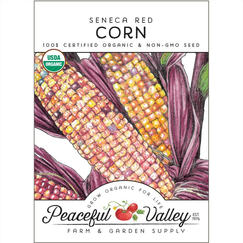 Organic Seneca Red Corn from $3.99 - Grow Organic Seneca Red Corn Seeds (Organic) Vegetable Seeds