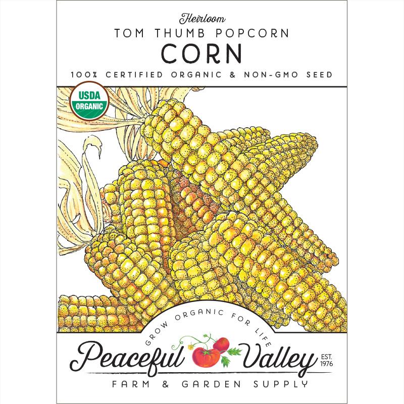 Tom Thumb Popcorn Corn Seeds (Organic) - Grow Organic Tom Thumb Popcorn Corn Seeds (Organic) Vegetable Seeds