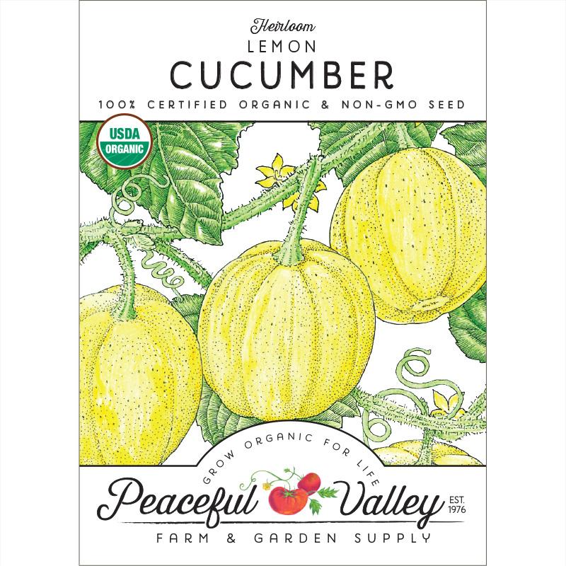 Lemon Cucumber Seeds (Organic) - Grow Organic Lemon Cucumber Seeds (Organic) Vegetable Seeds