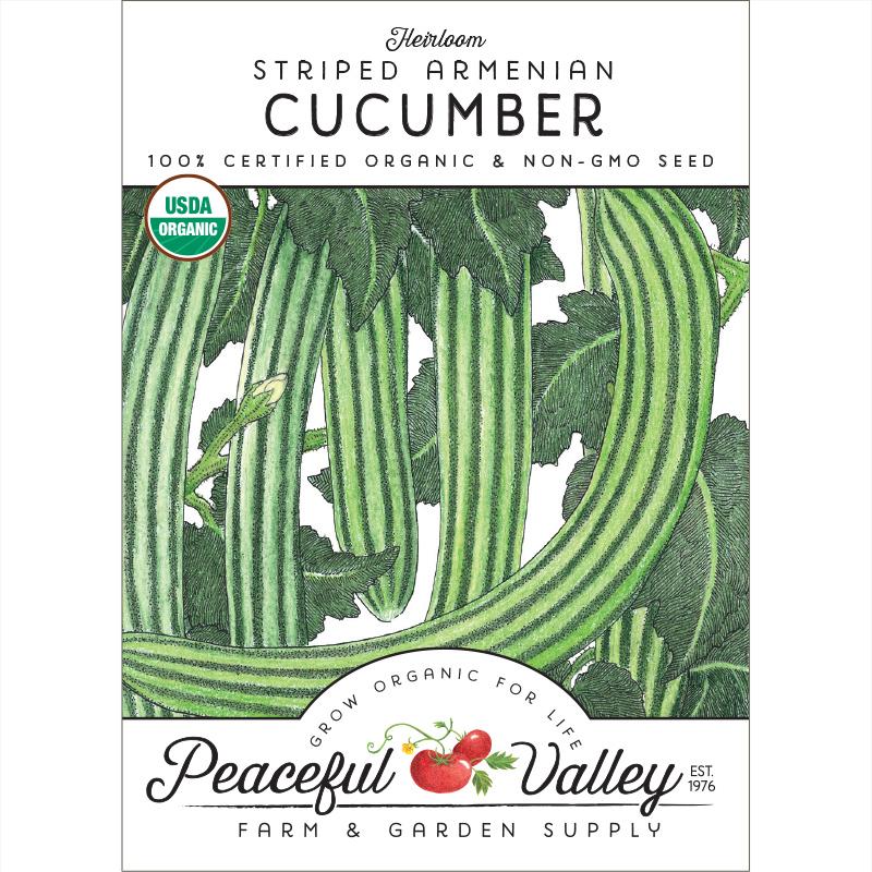 Striped Cucumber Seeds (Organic) - Grow Organic Striped Cucumber Seeds (Organic) Vegetable Seeds