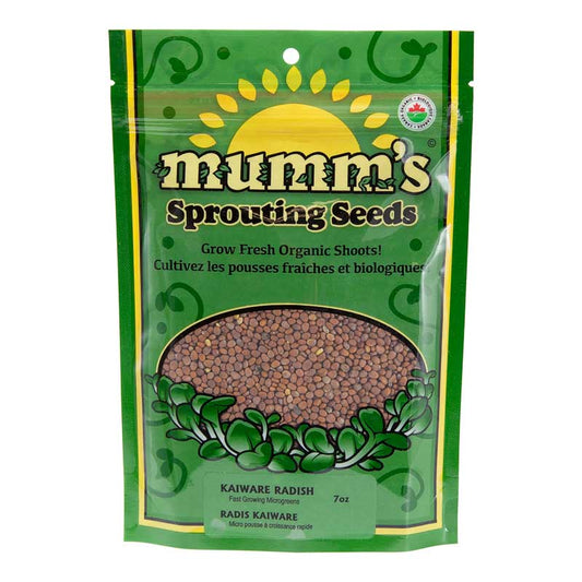 Organic Daikon Radish Sprouting Seeds (7 oz) - Grow Organic Organic Daikon Radish Sprouting Seeds (7 oz) Vegetable Seeds