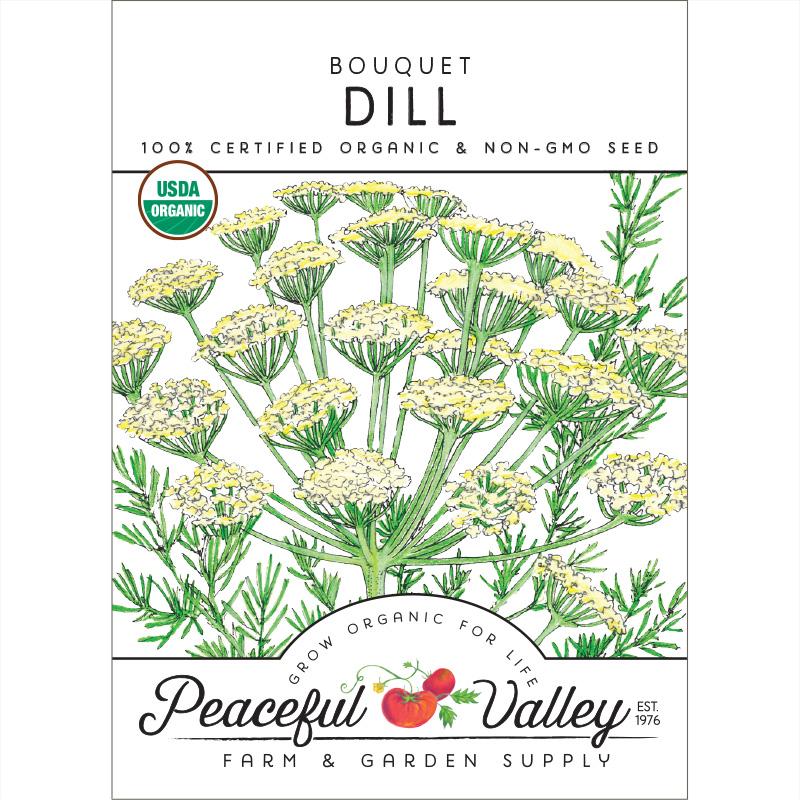 Organic Dill, Bouquet - Grow Organic Organic Dill, Bouquet Herb Seeds